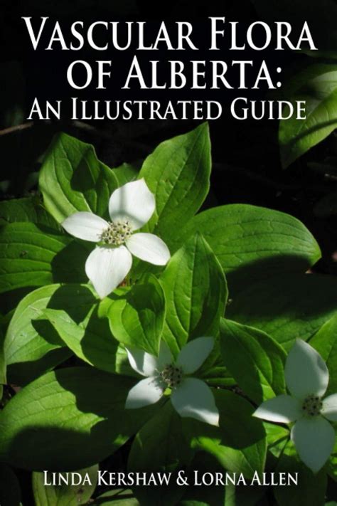 Vascular Flora Of Alberta An Illustrated Guide NHBS Field Guides