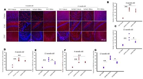 Ijms Special Issue Neuroinflammatory Processes In Neurodegenerative