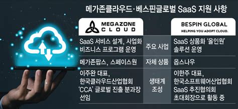 메가존클라우드 베스핀글로벌 Saas 전환부터 해외 진출까지 경쟁 치열 전자신문