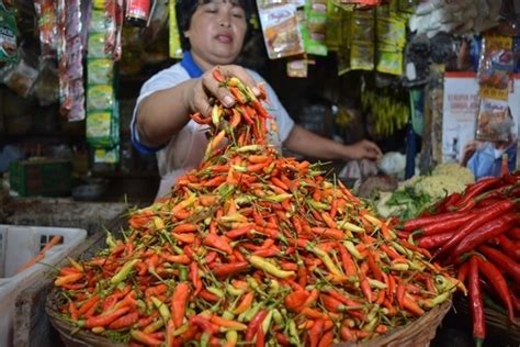 Penjualan Cabai Rawit Merah Anjlok Di Madiun Satu Harapan