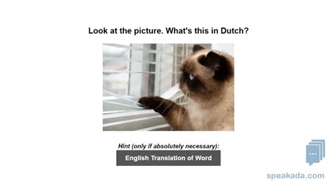 Anki Dutch Flashcards To Start Learning Dutch Now Speakada