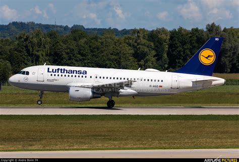 D AIBD Lufthansa Airbus A319 At Munich Photo ID 1583933 Airplane