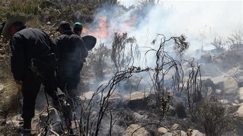 Arequipa Incendio Forestal Arrasa M S De Mil Hect Reas Y Causa Graves