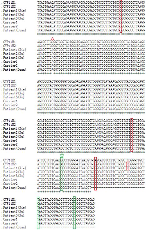 Frontiers Detection Of Small CYP11B1 Deletions And One Founder