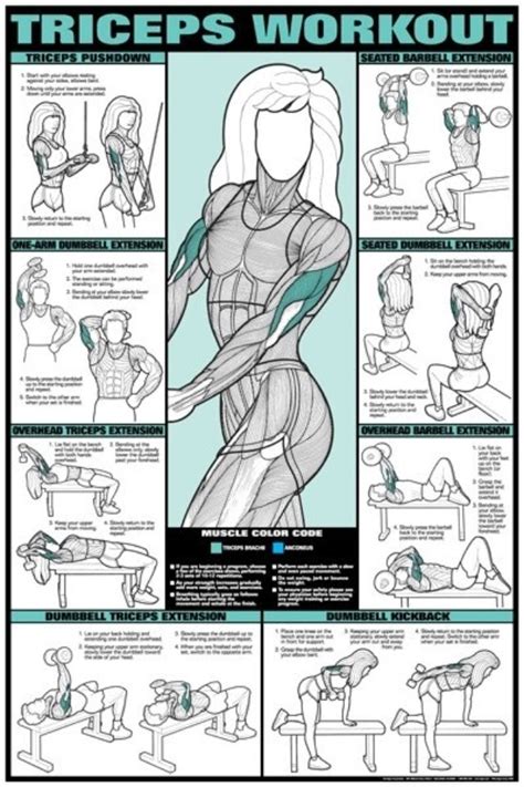 Triceps Workout Cheat Sheet Bicep And Tricep Workouts Pinterest