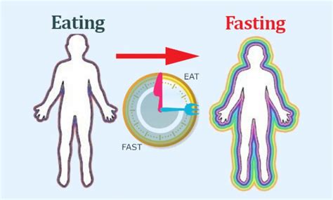 Benefits Of Fasting What Happens To Your Body When You Fast