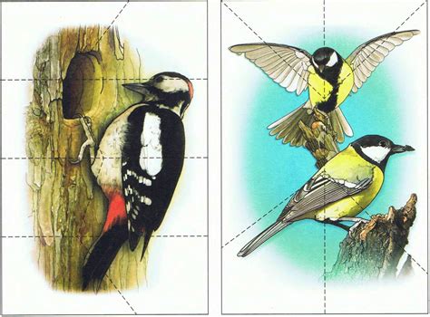 Перелетные Птицы Разрезные Картинки Для Детей – Telegraph