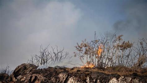 Bretagne Le Feu En Forêt De Brocéliande Est Fixé