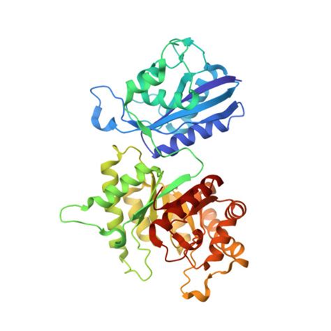 RCSB PDB 8SL9 Crystal Structure Of Francisella Tularensis HPPK DHPS