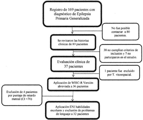 Diagrama Procedimiento De Selecci N Y Evaluaci N De Pacientes