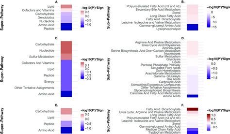 Correction To A Window Into Extreme Longevity The Circulating