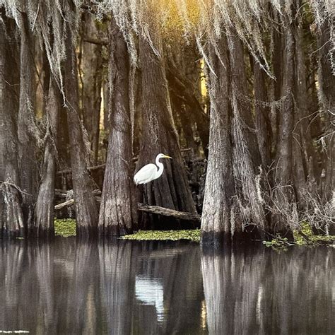 Fort Worth Camera Club
