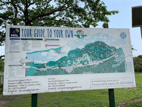 A Travel Guide To Kaziranga National Park Assam The Stupid Bear