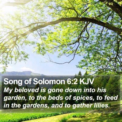 Song Of Solomon Explained Pydas