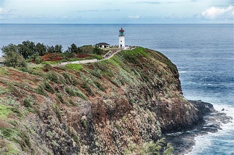 Kilauea Point National Wildlife Refuge Makana Charters Na Pali Boat Tours