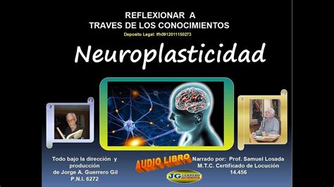 Neuroplasticidad Youtube