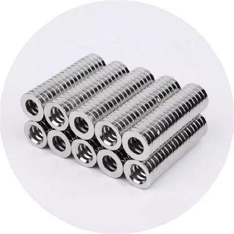 Free Samples N Radial Ring Neodymium Magnet China Ring Shape