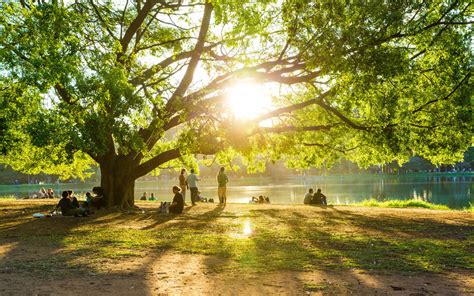 12 Lugares Em SP Perfeitos Para Fazer Piquenique