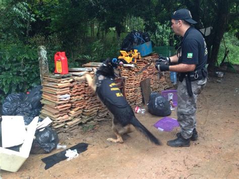 G1 Operação Realiza Prisões E Apreende Drogas No Litoral Norte Catarinense Notícias Em Santa