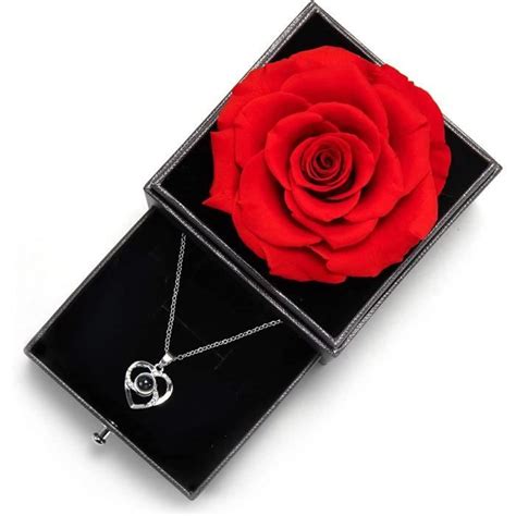 SHOKUTO Cadeau Anniire Femme 2 Vraie Rose Éternelle avec Collier