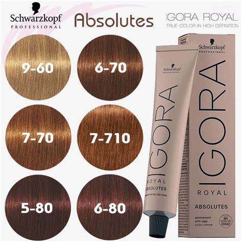 7 560 Igora Royal Absolutes Schwarzkopf