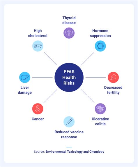 What Products Contain PFAS How To Protect Yourself 2023