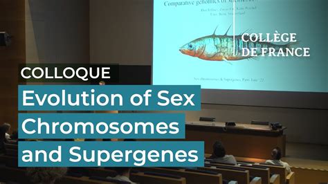 Evolution Of Sex Chromosomes And Supergenes Tatiana Giraud