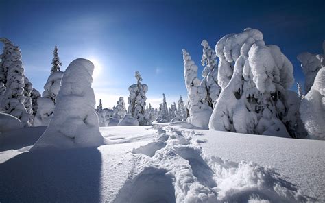 Winter in Finland | HD Wallpapers