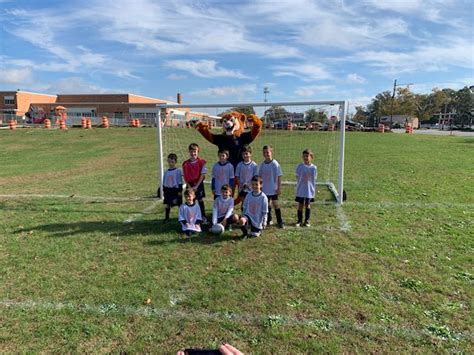 Ncpal Mascot Leo The Lion