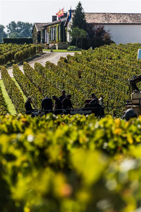 Tasting The Prestigious Wines Of Chateau Meyney Clementine Communications