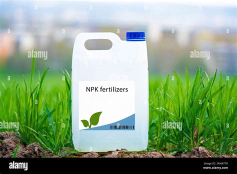 Npk Fertilizers Fertilizers That Provide Nitrogen Phosphorus And