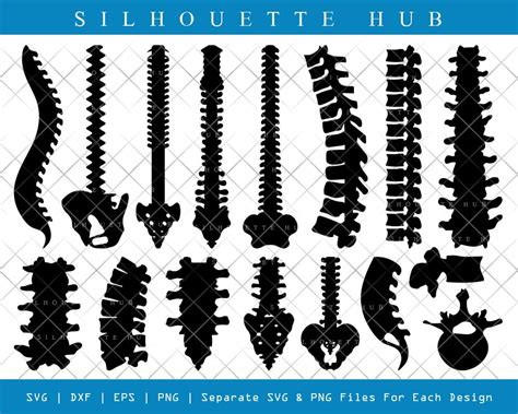 Anatomy Spine SVG Cut Files Anatomy Spine Silhouette Human Etsy