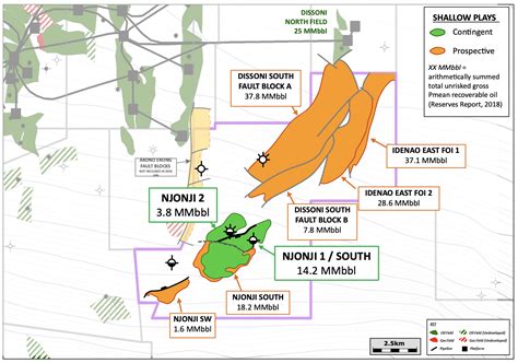 Cameroon Tower Resources
