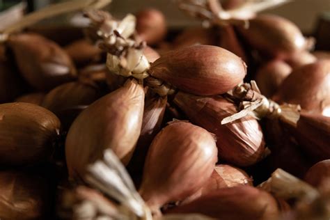 Plaited Traditional Shallots An Opportunity To Stand Out Pouliquen