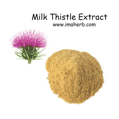 Milk Thistle Extract, Silymarin, Silibinin