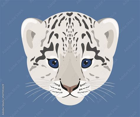 Baby Snow Leopard Drawing