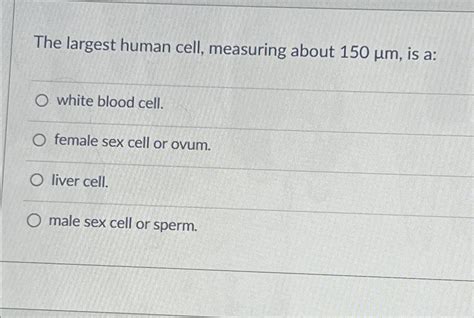 Solved The largest human cell, measuring about 150μm, ﻿is | Chegg.com