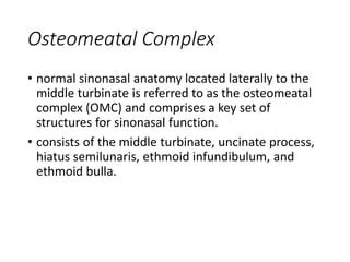 Endoscopic Endonasal Anatomy.pptx