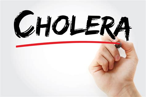 Five Steps You Can Take To Prevent Cholera Miles