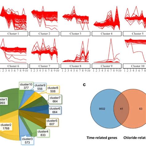 Temporal Gene Expression Profiles In The Developing Brain A The Series