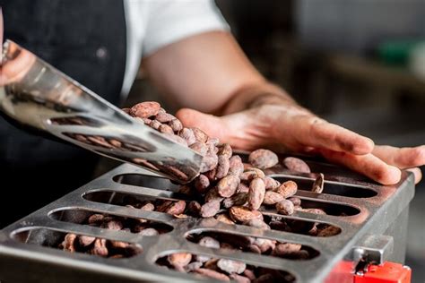 Visita Guidata Nella Fabbrica Di Cioccolato Kaicao Bean To Bar Fornito