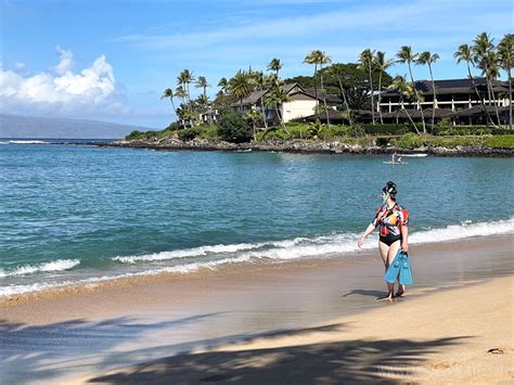 Best Snorkeling Spots in Maui (Map Included) - The Emerald Palate