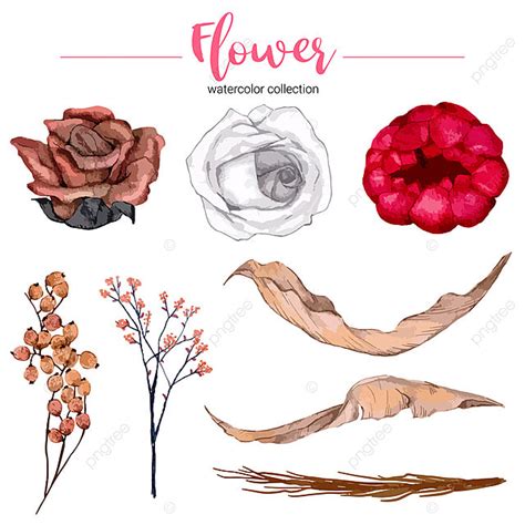 Watercolor Flower Collection Vector Design Images Set Of Collection