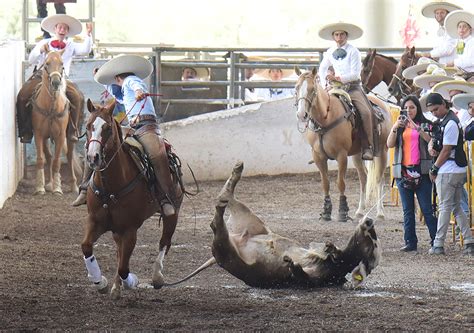 Definidos Los Finalistas Charros Completos Infantiles B Federaci N