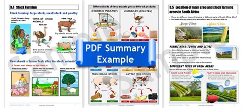 Grade 4 Geography Term 3 Food And Farming Powerpoint Slides And Pdf Summary English • Teacha