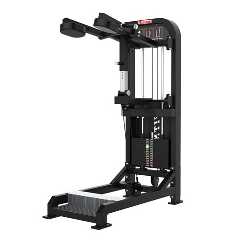 Wholesale Gym Fitness Standing Calf 2022 Popular Commercial Standing