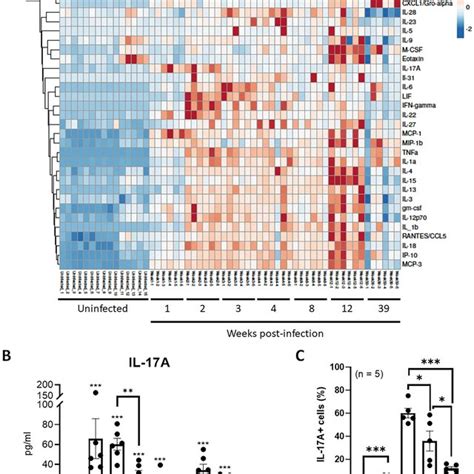 Lung Infiltration Of Immune Cells In M Intracellulare Infected Mice