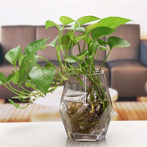 Terrarium Glass Vase Hydroponic Plant Flower Clear Container Indoor Hanging Flower Glass Bottle