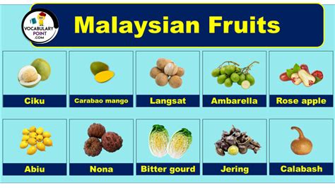 Malaysian Fruits Malaysian Fruits Names With Their Benefits