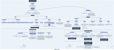 Mapa Conceptual Del Tejido Conectivo Docsity